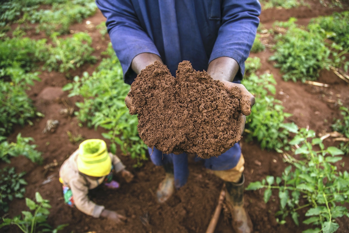 Soil testing and analysis