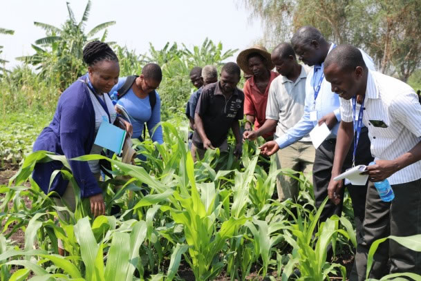 Farmers training on modern sustainable farming techniques