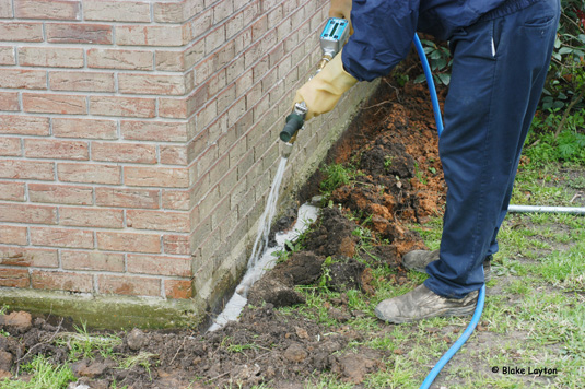 Building and garden termite control